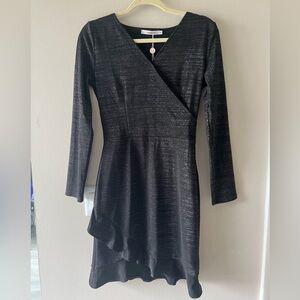 Chic Black Long Sleeve Dress